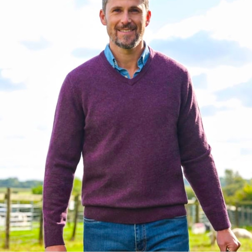 Banana Republic - Men's Extra Fine Merino Wool V-Neck Sweater in Plum Purple